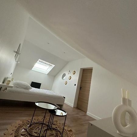 Chambres Dans Maison Neuve Au Style Chic Et Boheme Villeneuve-sous-Dammartin 外观 照片